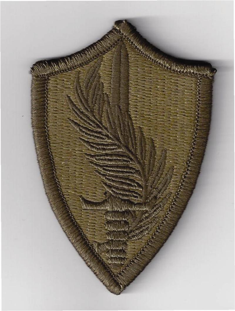 Multicam/OCP patch w/velcro